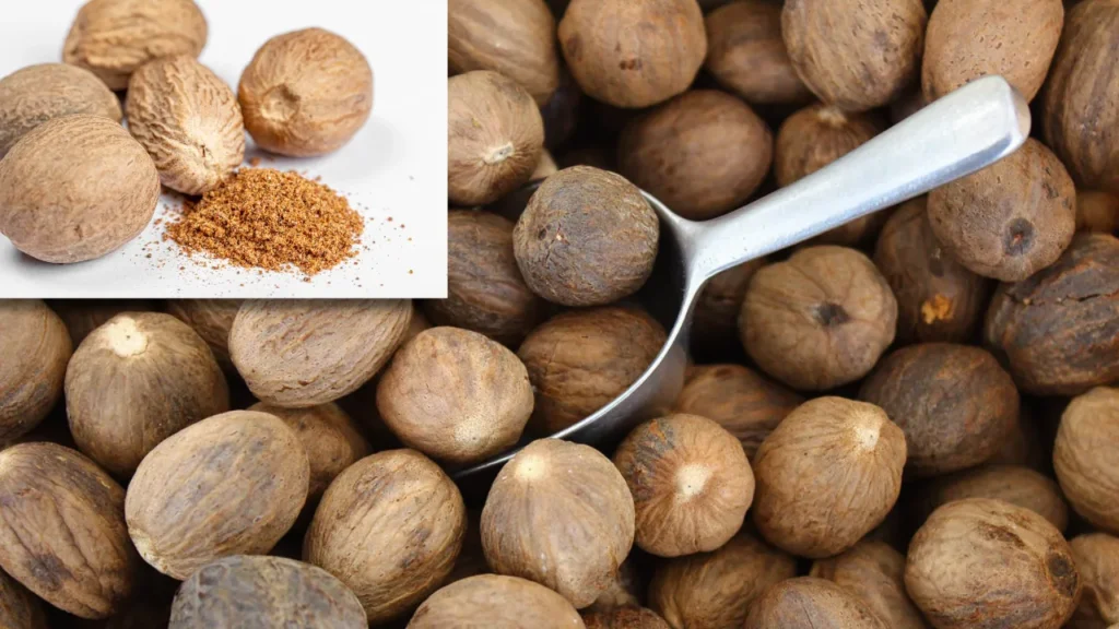 Nutmegs for Health